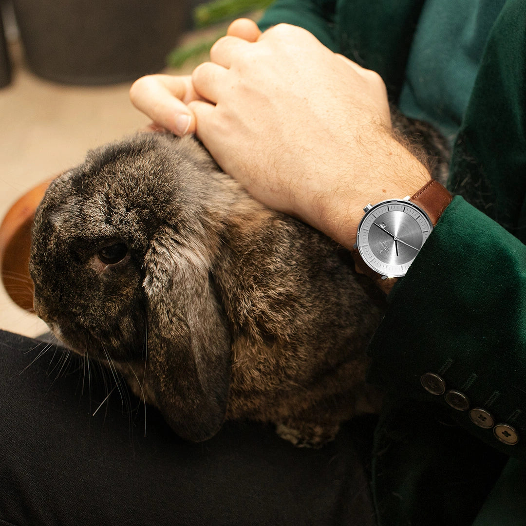 Image description is missing