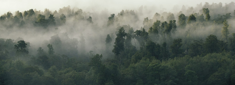 Image description is missing